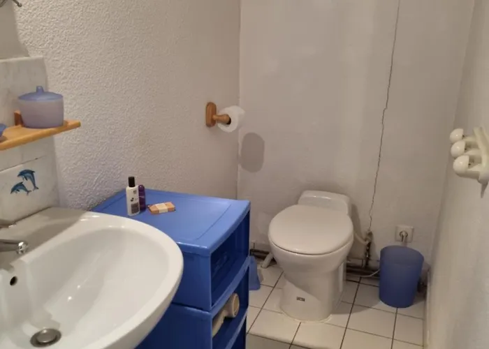 Aulos Studio * Aulos