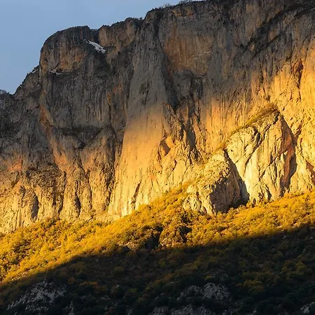 Apartment Aulos Studio